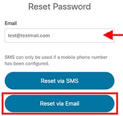 reset via email screenshot